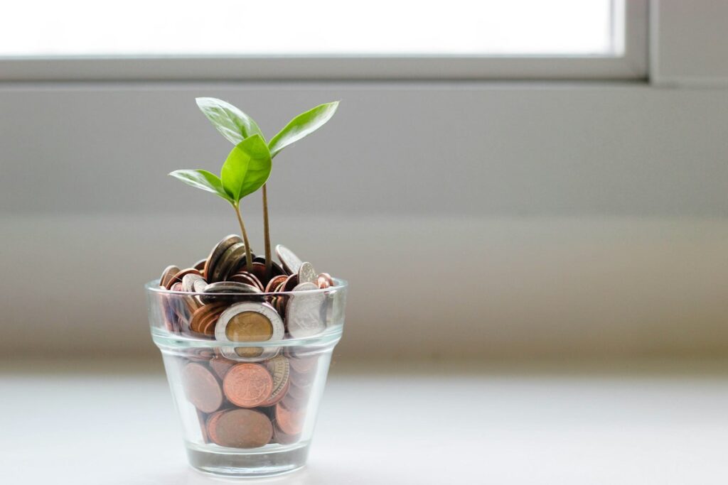Plant growing from coins (growth strategy)